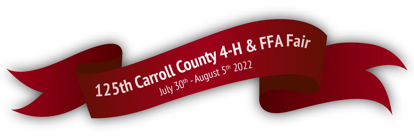 125th carroll county 4h ffa fair ribbon