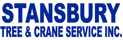 stansbury tree and crane service inc logo